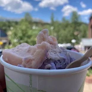 Blueberry diesel and guava sorbet