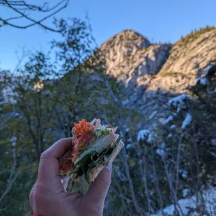 The Grizzly sandwich with sprouts added