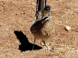 Kirtland AFB FamCamp