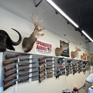 Nice rifle selection