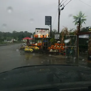 Plenty of fall goodies for sale