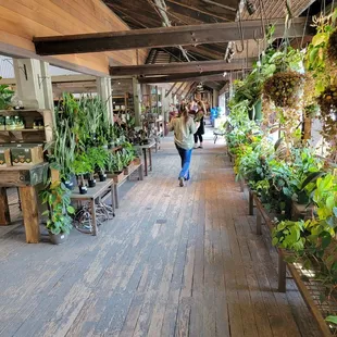 The sheds while you wait for your table. GET A RESERVATION ahead of time.