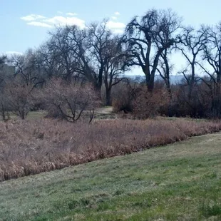 Great quiet cycling/walking hiking/jogging trail just on north side of C470.