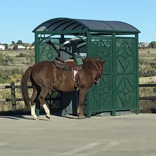 Porta Potty is always a good find on a hike :)