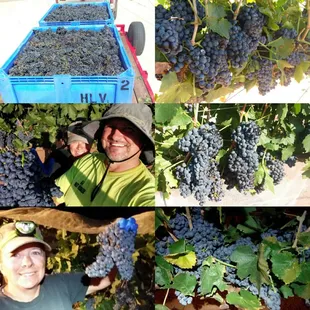 2018 Malbec