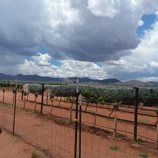 Monsoon season has arrived.