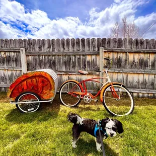 a dog and a bicycle