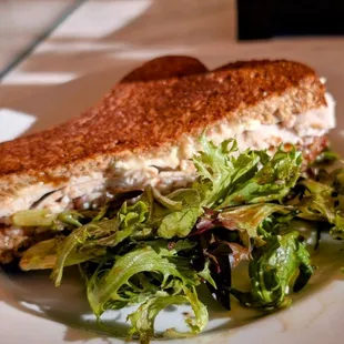 Half Thanksgiving sandwich with salad, plated at home. Mmmmmm