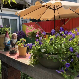 a garden with flowers and an umbrella