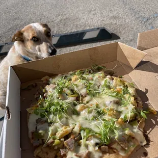 High Rockies Cuisine