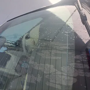 This is my windshield covered with suds