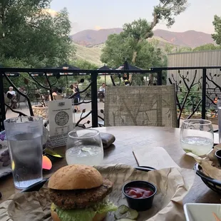 Veggie burger &amp; a mule with a view!