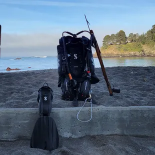 Fruits of our labors