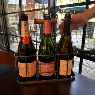 Bubbles Flight