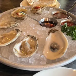 Oysters on the Half Shell