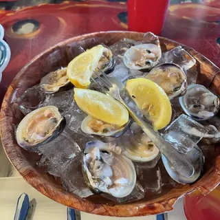 Topneck Clams