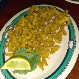 Cracked Conch