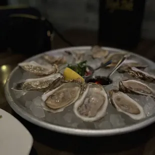 Oysters