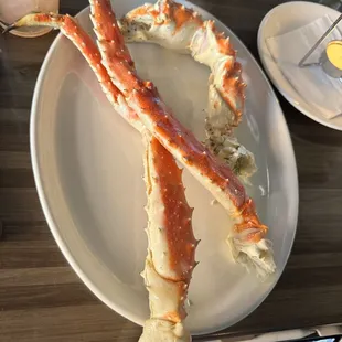 King Crab