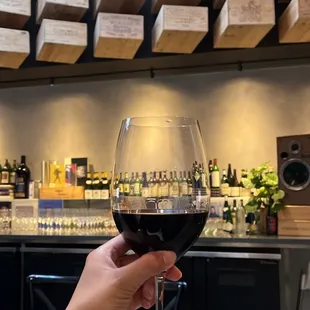 a person holding a glass of wine