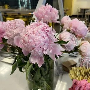 Good morning - pretty peonies
