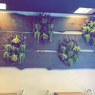 Decor