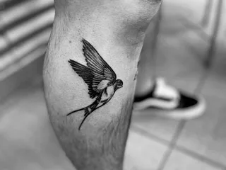 Tom Fooleries Tattoo