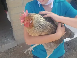 Kino Learning Center