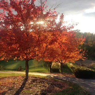 View from the golf course.