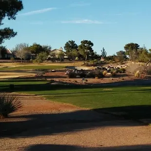 very pretty desert and natural landscaping
