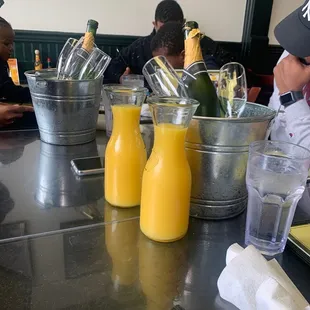 Mimosa Buckets