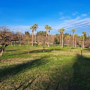 From English Colony Way, you know you are near Highland Orchard when you see palm trees.