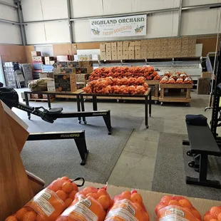 Lots of Mandarin oranges, 5 &amp; 10 lb. bags.