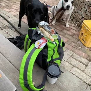 Taco, burrito, coffee, dog friendly, super staff, good service, lovely neighborhood