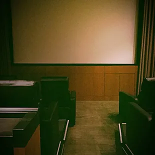 The Living Room features 10 leather reclining seats, perfect for lounging back and enjoying a flick!