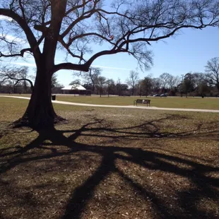 Beautiful day for a picnic