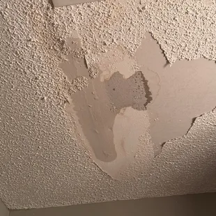 Day 2 of repairs on the ceiling