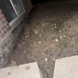 Neighbors again, this time food . Potatoes actually.