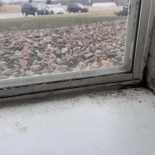 moisture will seep into your window, the screen that goes to the window doesn't even fit. This is the result.