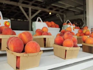 Ken Chappell's Peaches