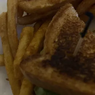 Delicious fries/BLT