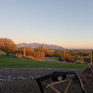 My view from the patio