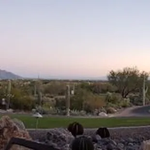 My view during my dinner date night