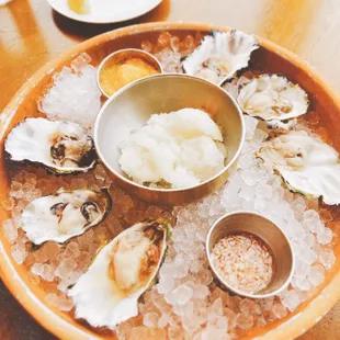 Oysters