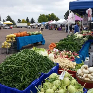 a variety of vegetables