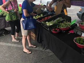 South University Farmer's Market