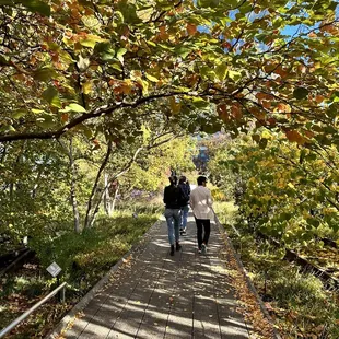 two people walking down a path