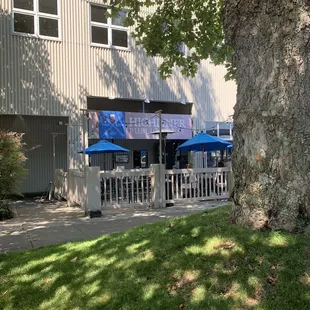 Outside patio dining