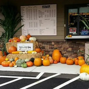 a display of pumpkins and gourds