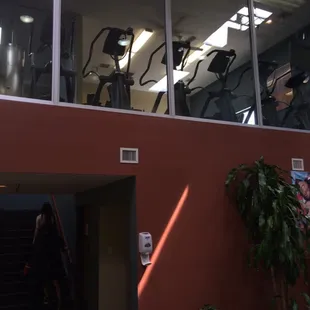 Upstairs cardio deck.